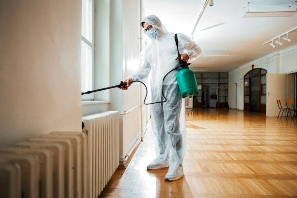 Best Commercial Pest Control  in Valle Vista, AZ